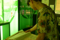 P1040852